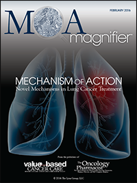 Mechanism of Action: Novel Mechanisms in Lung Cancer